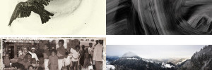 Featured images for Best of the Rest // March 2016