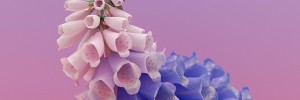 Featured images for Flume covers considerable ground with ‘Skin’