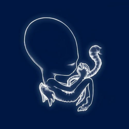 Audioxide Review Album Review: Ágætis byrjun // Sigur Rós
