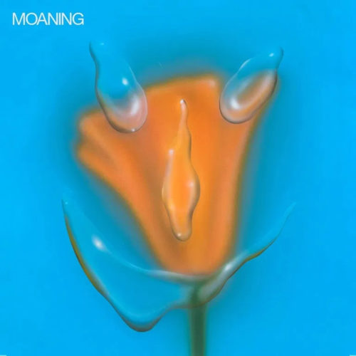 Album artwork for Review: Uneasy Laughter // Moaning