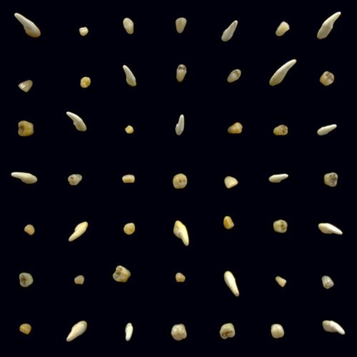 Album cover for clipping. - Visions of Bodies Being Burned